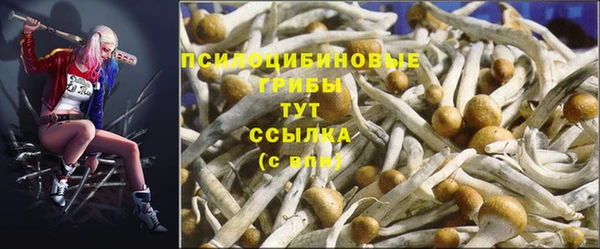 метадон Алзамай