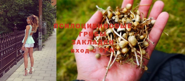 mix Алексин