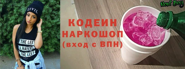 хмурый Арсеньев